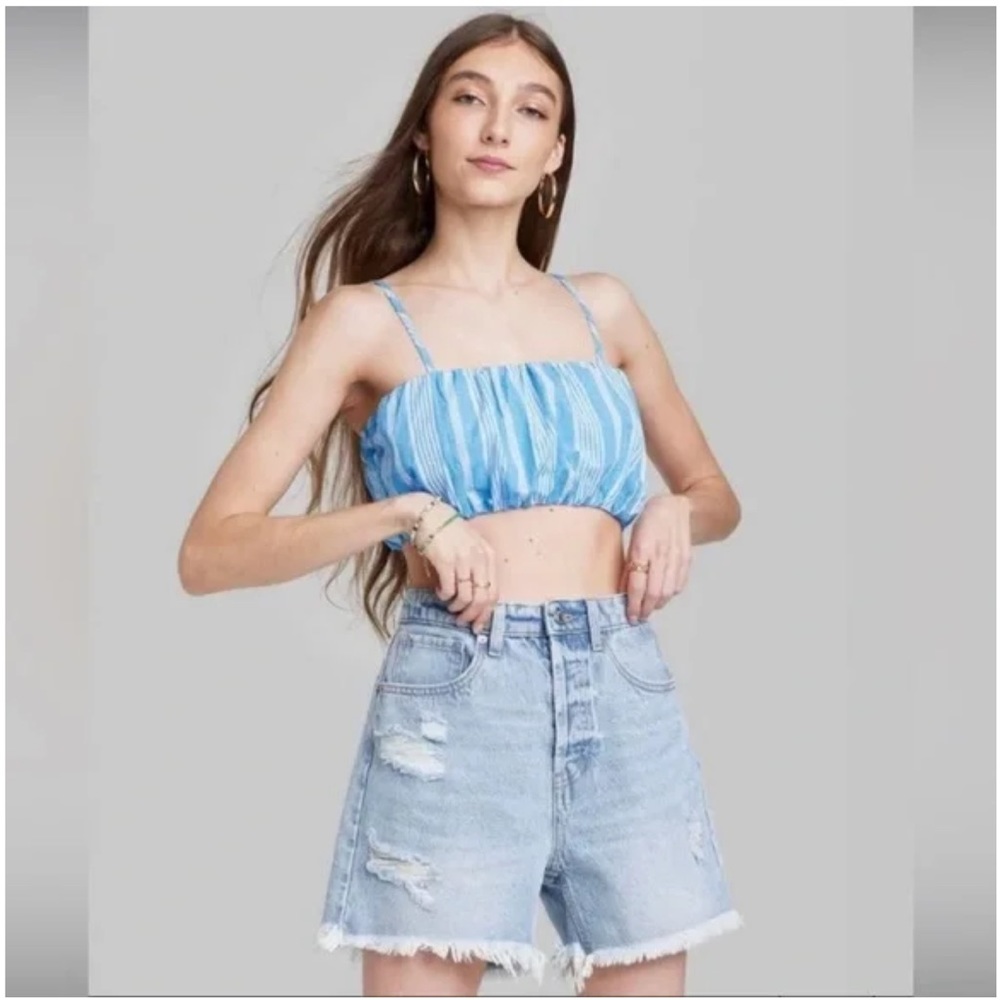 Wild Fable Women’s Blue Stripe Crop Top